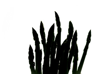Backlight asparagus
