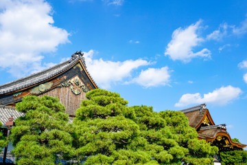 二条城 二の丸御殿