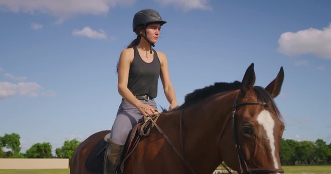 Girl riding horse in field
