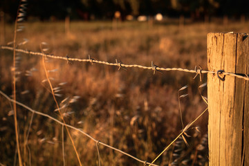 
Alentejo in Portugal