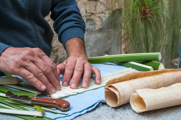 Artisan of the papyrus paper in Syracuse overlapping perpendicularly strips obtained from the stem of the plant