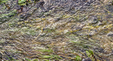 running water texture, river running water.