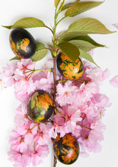 Easter colorful eggs with spring flowers