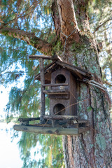 handmade wooden birdhouse placed on old tree