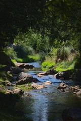 Fresh, cool rocky creek in the forest near Potrero de los Funes, San Luis, Argentina.