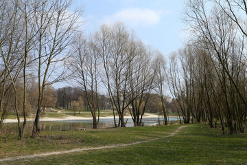 hiking path in the park near the lake among the trees