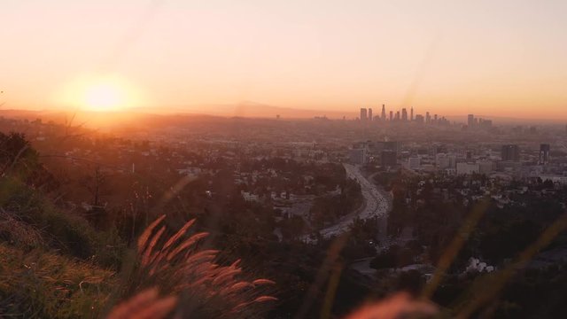 Los Angeles Skyline