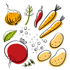 Beetroot, onion, potatoes, carrots, pepper, bay leaf, dill. Colorful sketch collection of vegetables and herbs isolated on white background. Doodle hand drawn vegetable icons. Vector illustration