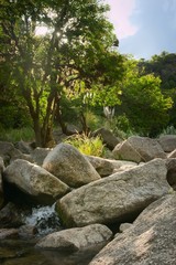 Fototapeta na wymiar Rocky mountain creek near Potrero de los Funes, San Luis, Argentina.