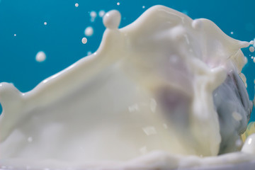 Obraz na płótnie Canvas milk splashes on a blue background 