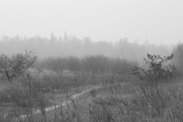 Black and white landscape of trees and houses in the smoke in Kiev during large-scale fires