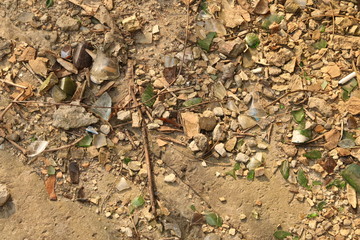 broken glass and other rubbish on concrete