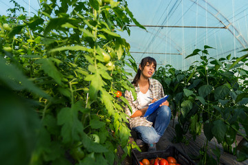 Attractive female farmer in greenhouse