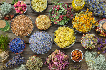Bowls of dry medicinal herbs - lavender, coneflower, cornflower, marigold, rose, Helichrysum flowers, healthy moss and lichen, infusion bottles. Top view. Herbal medicine.