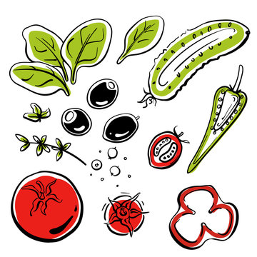 Salad set: tomatoes, cucumbers, olives, spinach, pepper. Colorful sketch collection of vegetables and herbs isolated on white background. Doodle hand drawn vegetable icons. Vector illustration
