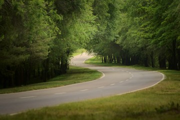 Obraz premium Winding asphalt road in a wooded area in San Luis, Argentina.