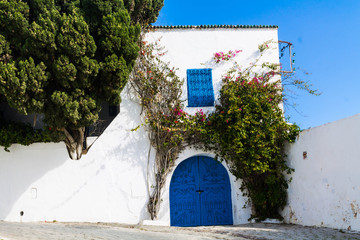 puerta azul y flores Sidi Bou