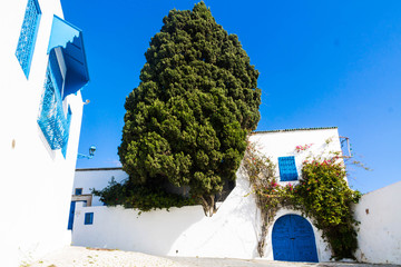 casa tradicional azul Sidi Bou
