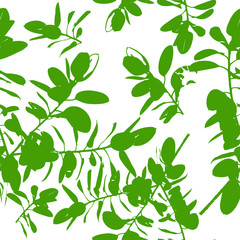 Fototapeta na wymiar Ficus silhouette. Green trees. Seamless background. Vector illustration