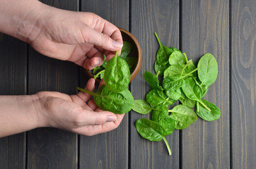 Spinach leaves in the person's hands over dark wooden table background. Vegan food trend. Green living concept.