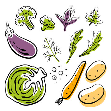 Cabbage, eggplant, broccoli, carrot, potatoes, herbs. Colorful sketch collection of vegetables and herbs isolated on white background. Doodle hand drawn vegetable icons. Vector illustration