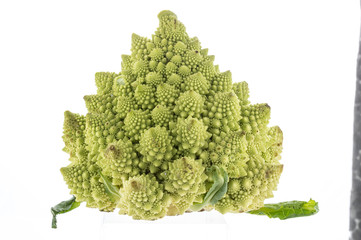 Triangle shaped cabbage on a white background. The vegetable is triangular in shape. Vegetable with spikes.