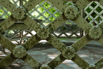 through the gates. iron gates painted white. closeup with selective focus. flowers and details on moss