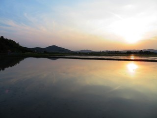 Fototapeta na wymiar 日本の田舎の風景　6月　田植え頃の水の夕景