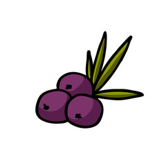 acai berries doodle icon