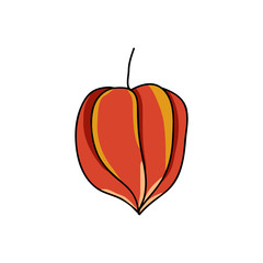physalis doodle icon