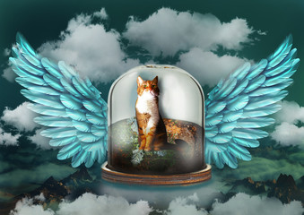 cat angel on the sky