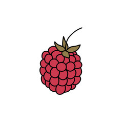 raspberry doodle icon