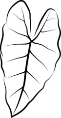 Ink line hand drawn tropical leaves. Outline. Vector contour drawing. Wild plants, herbs, monochrome artistic botanical illustration, isolated floral element