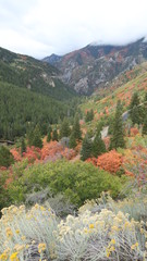 Autumn in Utah
