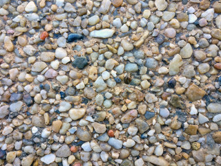 Background of colorful pebbles on the beach