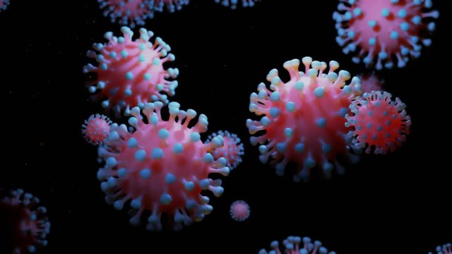 close-up coronavirus type covid-19, h1n1, bird flu or swine flu move smoothly in fluid 3d representation of virus as microbiological microscopic looped background. Red blue gradient 4
