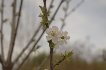 Developed using darktable 2.6.0