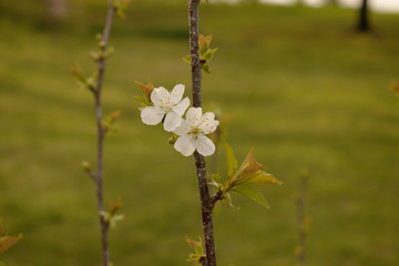 Developed using darktable 2.6.0