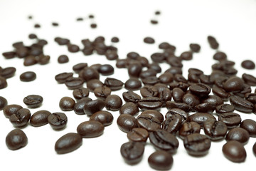 コーヒー豆