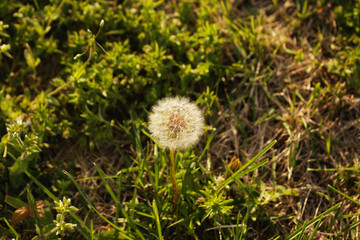 Developed using darktable 2.6.0