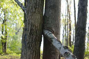 Developed using darktable 2.6.0