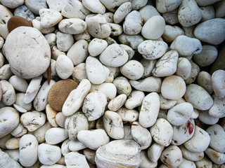 Rock white in garden.White pebbles for background.Texture Rock or stone pebble outdoor.