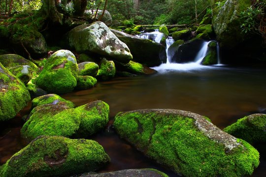 Stream On The Roaring Fork Motor Trail Near Gatlinburg Tennessee In The Smoky Mountain National Park