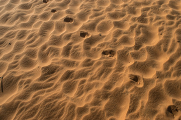 footprints in the sand