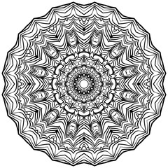 Fototapeta premium LL2020-0102