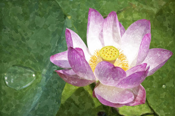 creative colorful watercolor illustration of an opened lotus flower in summer