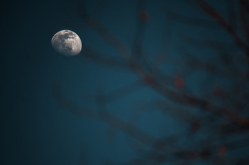 Der Mond 
