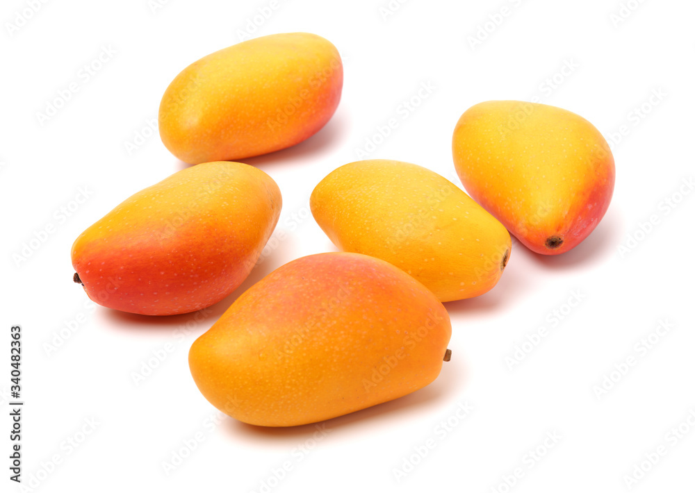 Wall mural mango on a white background