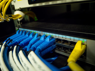 Computer Network Telecommunication Ethernet Cables Connected to Internet Switch.