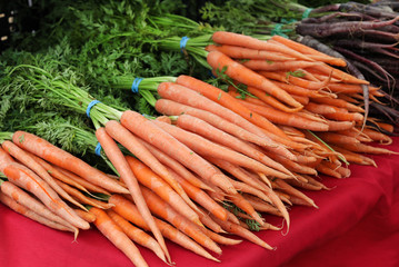 bunches of farm carrots
